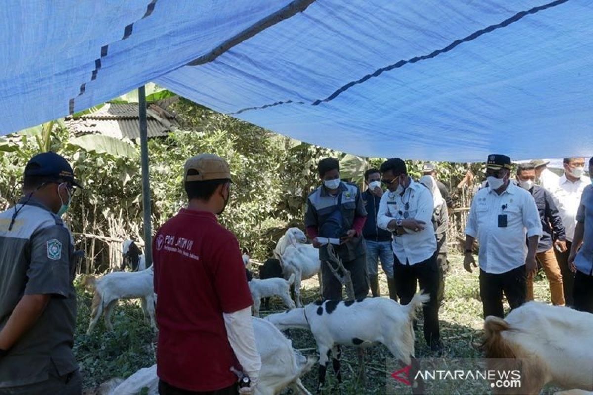 Pemkab Dharmasraya masak satu ton rendang untuk Lumajang