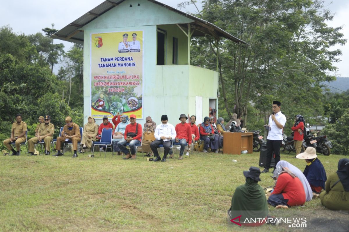 Kelompok tani Kelurahan Tanjung Paku Solok budidayakan tanaman manggis