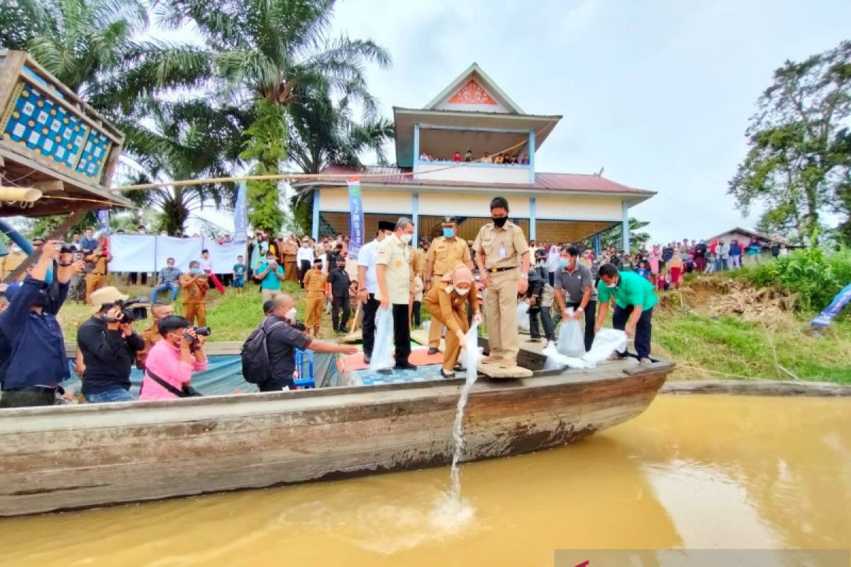 160 ribu benih ikan untuk masyarakat Inhu