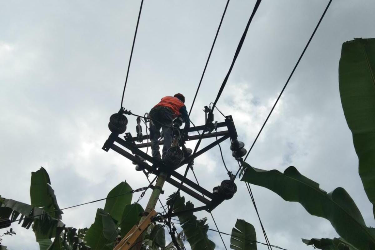 PLN gerak cepat pulihkan sistem kelistrikan Flores usai Gempa Magnitudo 7,4