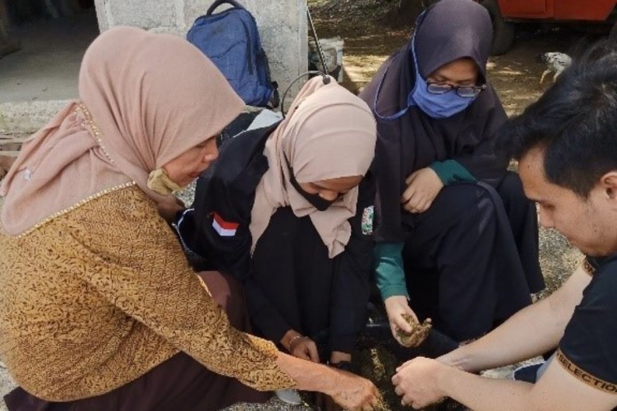 PkM Unand tingkatkan produksi dan kualitas susu kerbau murrah penghasil dadih dengan perbaikan pakan di Kapau