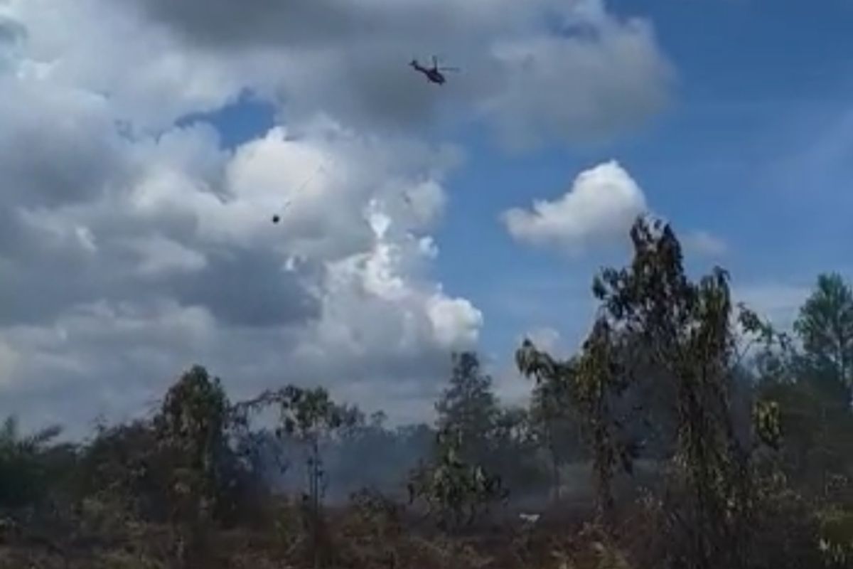 BPBD kerahkan satu helikopter padamkan karhutla di Bengkalis