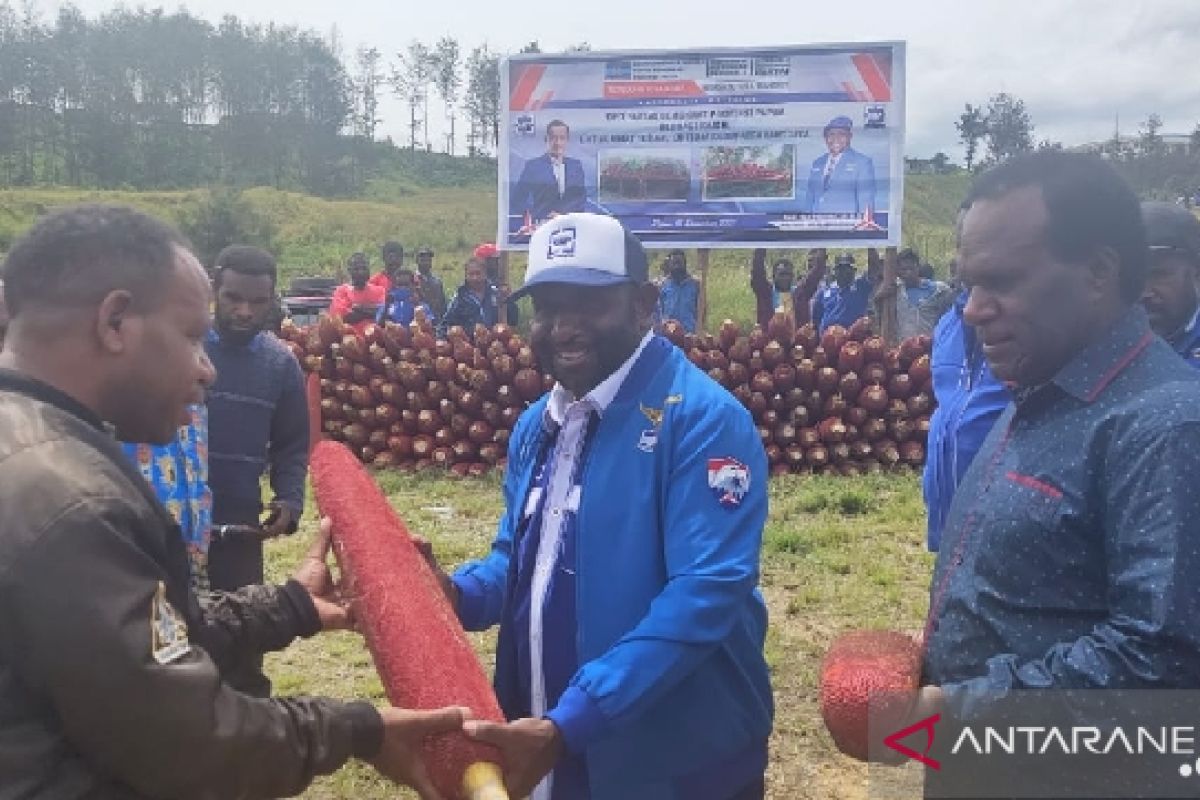 Demokrat Papua serahkan 5.000 buah merah untuk Natal jemaat Baptis Lani Jaya