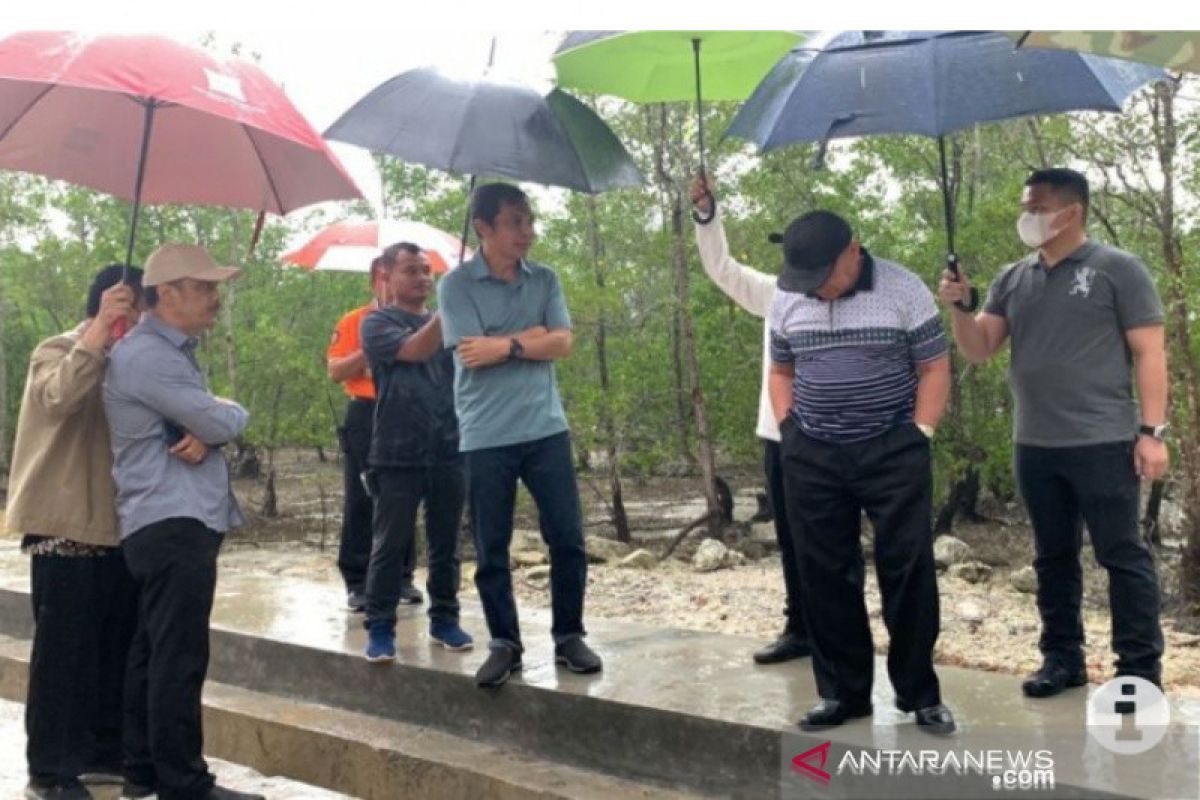 Pemprov Kaltim bangun penahan abrasi air laut cegah kerusakan pantai