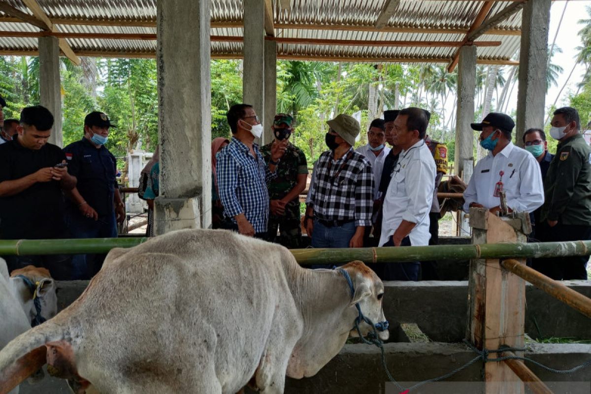 Gubernur Sulteng resmikan program pengurangan risiko bencana di Donggala