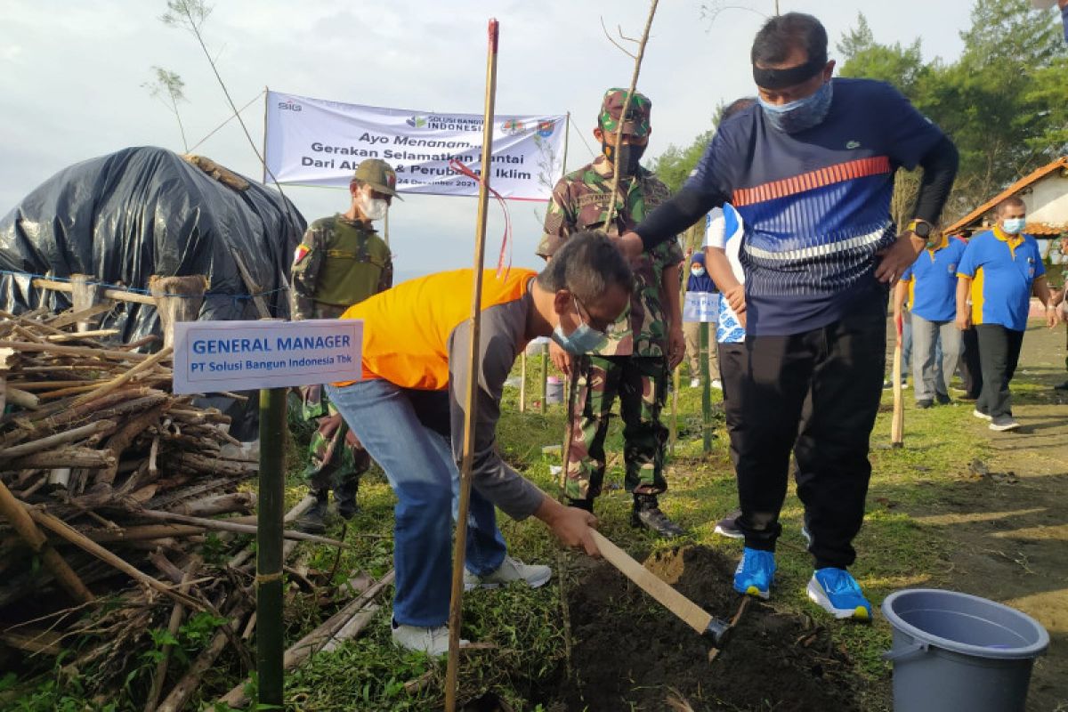 Pemkab Cilacap dan SBI tanam cemara laut di Pantai Kemiren