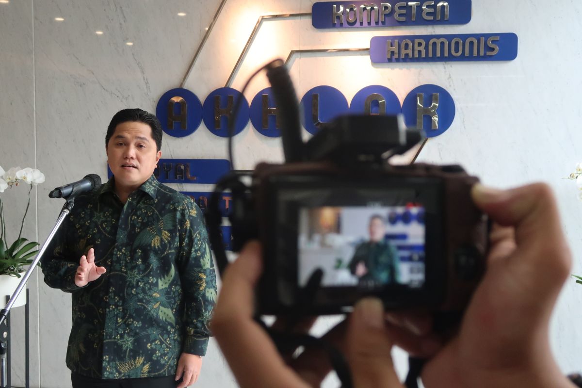 Erick Thohir copot Direktur Energi Primer PLN akibat krisis batu bara