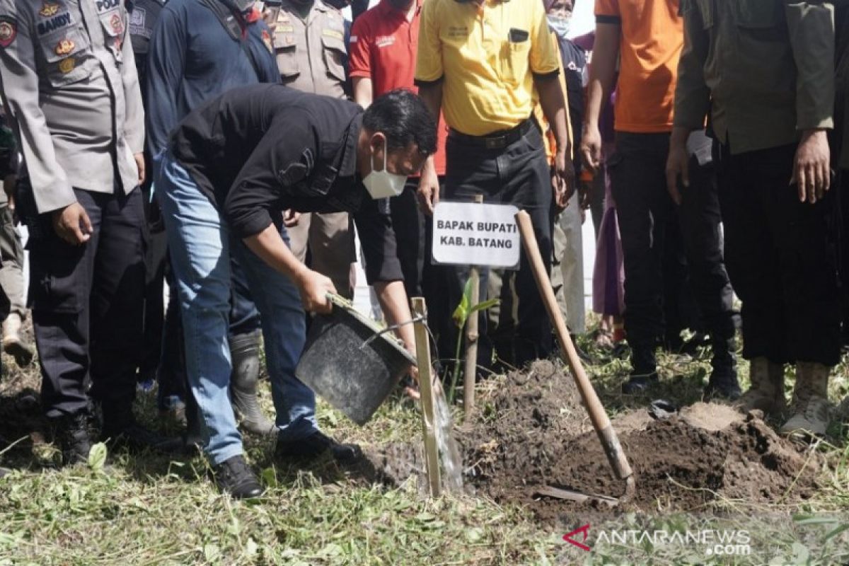 12.400 bibit mangrove ditanam di Pantai Roban Batang