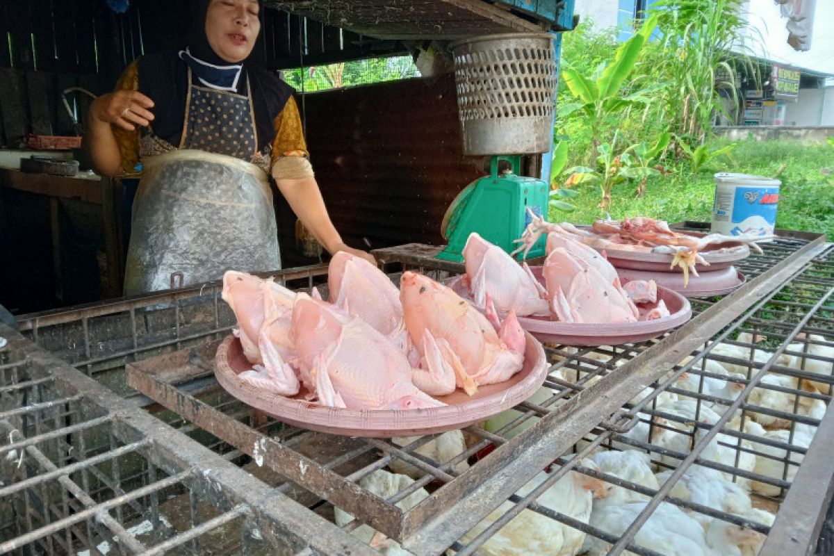 Harga ayam di Pekanbaru masih Rp32.000 sejak Natal