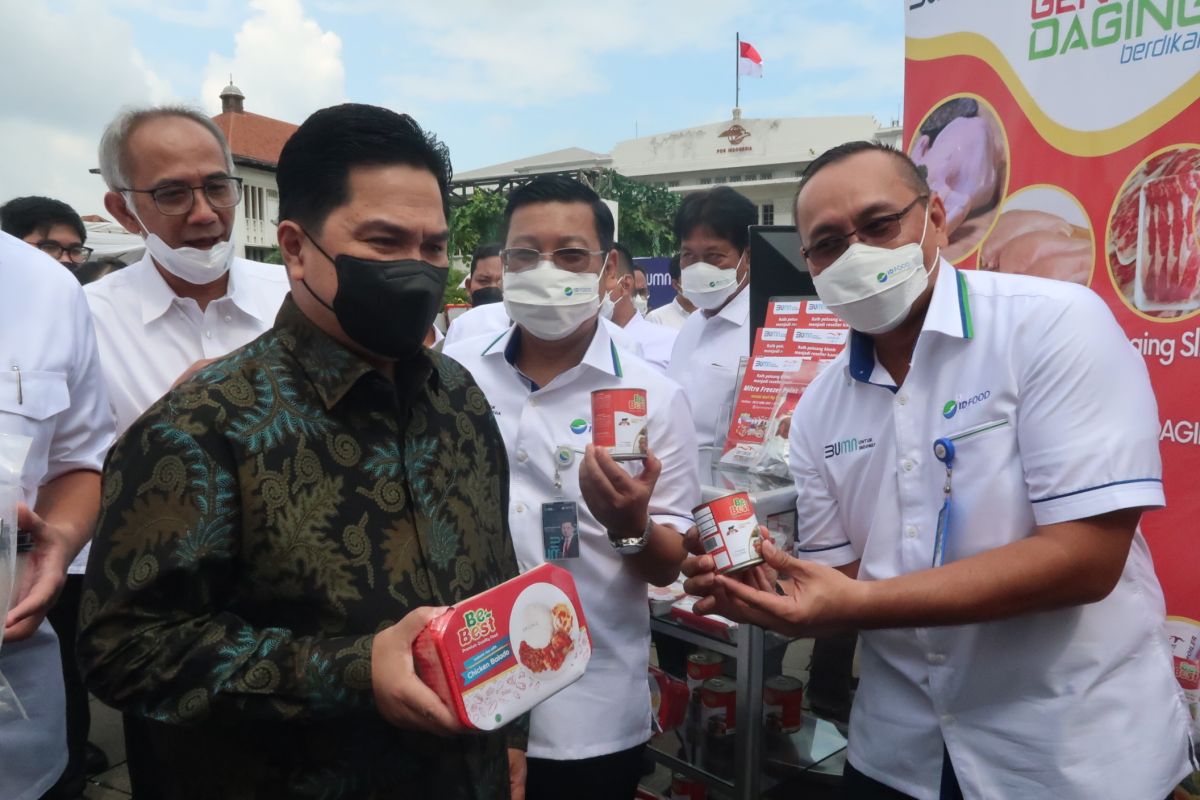 Pemerintah resmi luncurkan BUMN Pangan