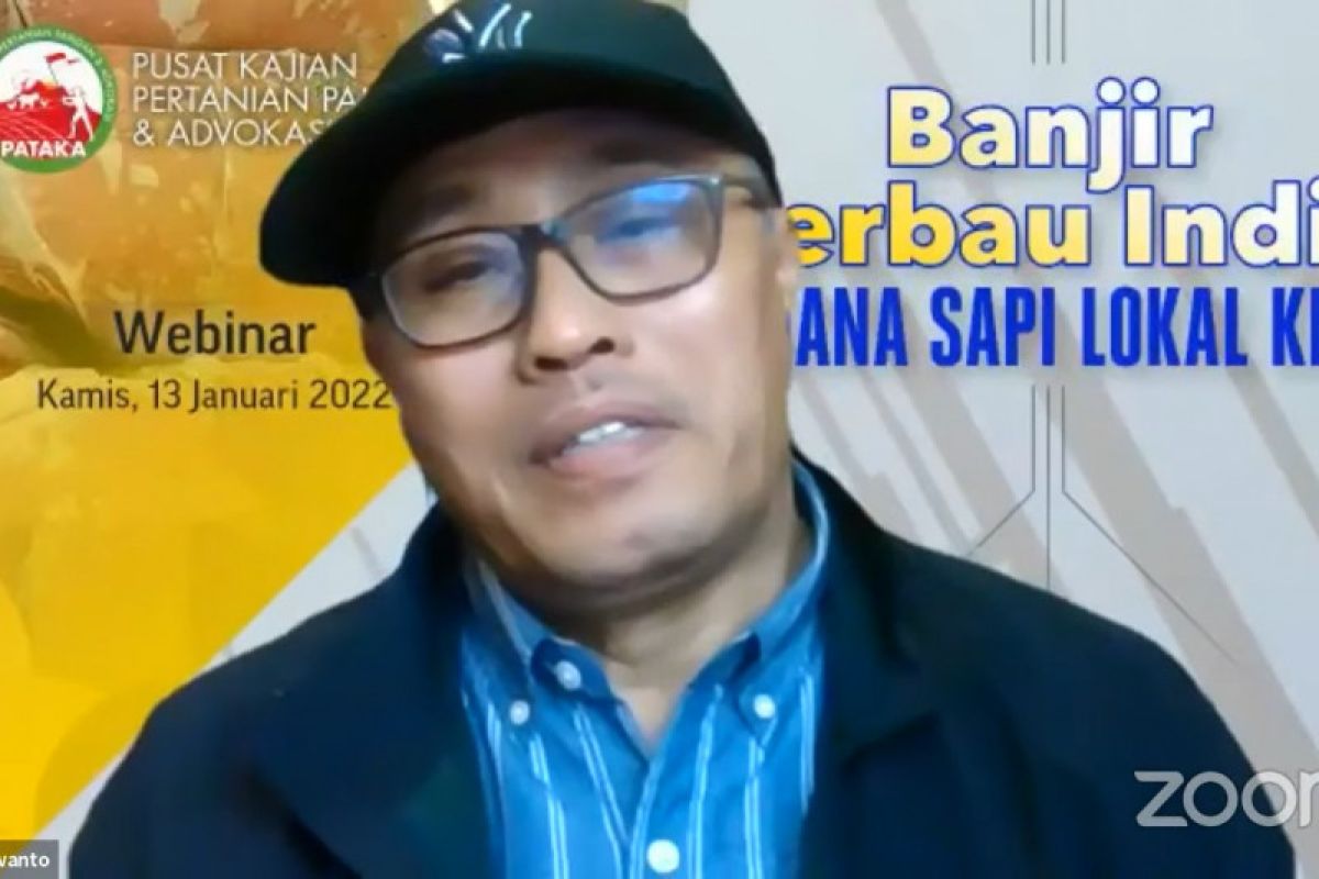 Gapuspindo sarankan pemerintah impor sapi bakalan ketimbang daging beku