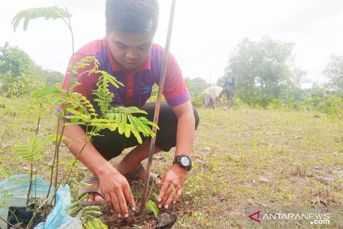 Belantara tanam bibit pohon sengon bersama KTH Rahayu Mandiri dan Sertani