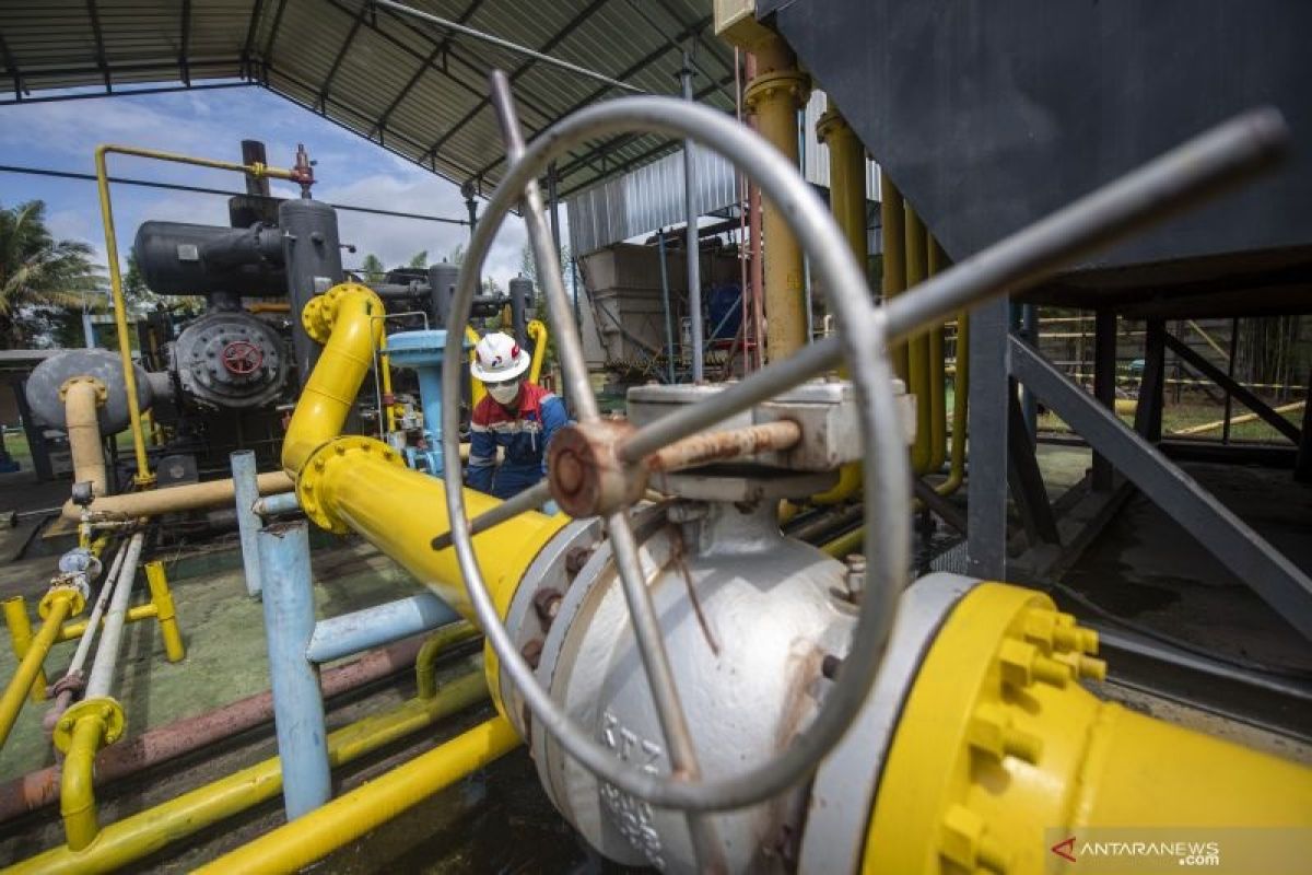 Pertamina temukan sumber minyak dan gas bumi baru di Jambi