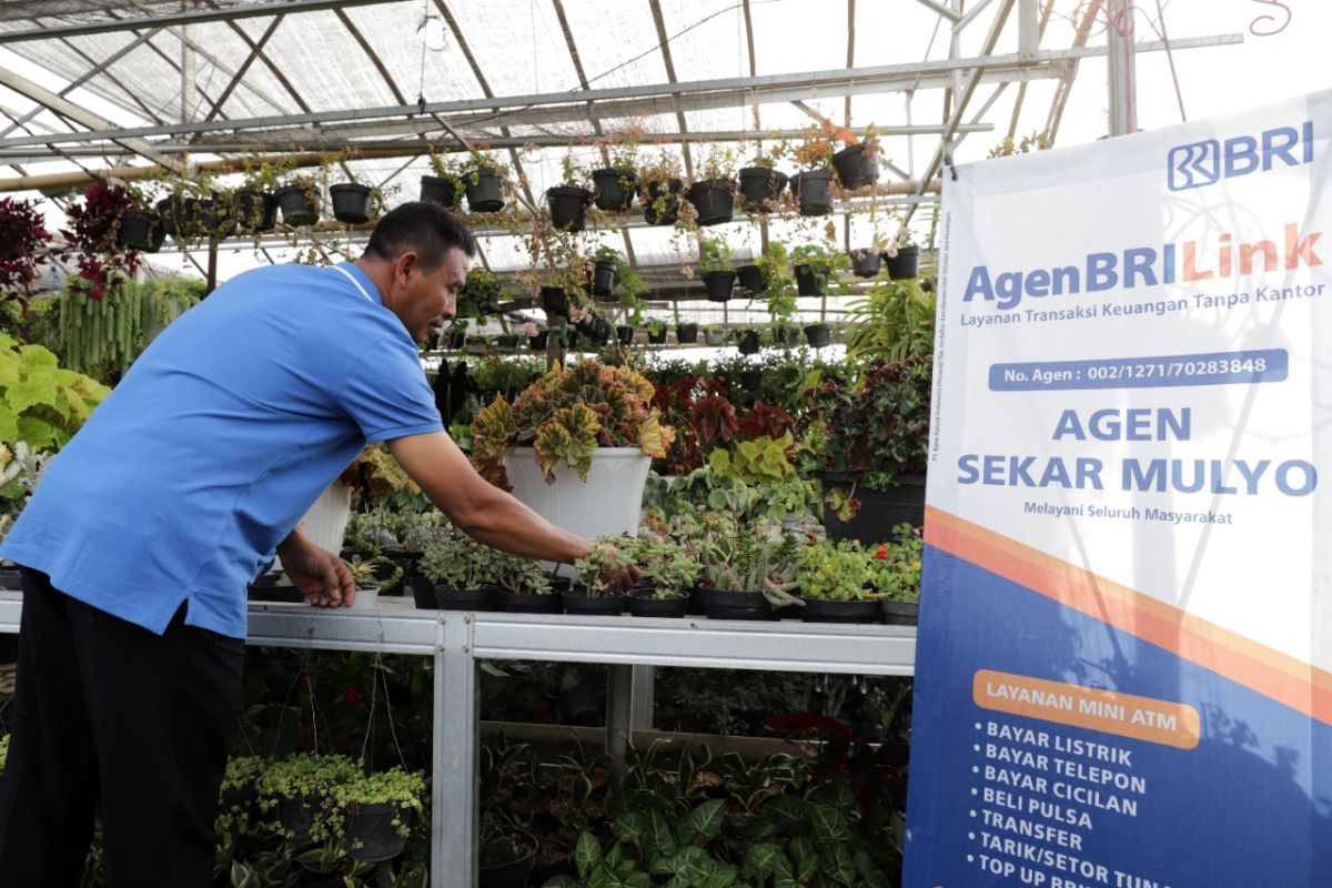 Kementerian BUMN-BRI berdayakan klaster usaha tanaman hias