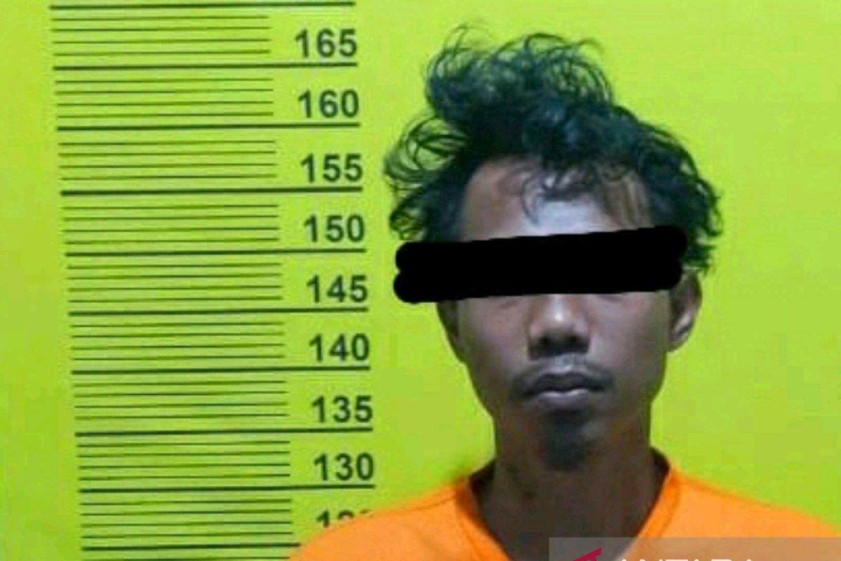 Pembobol agen BRI Link di Rokan Hilir diringkus polisi