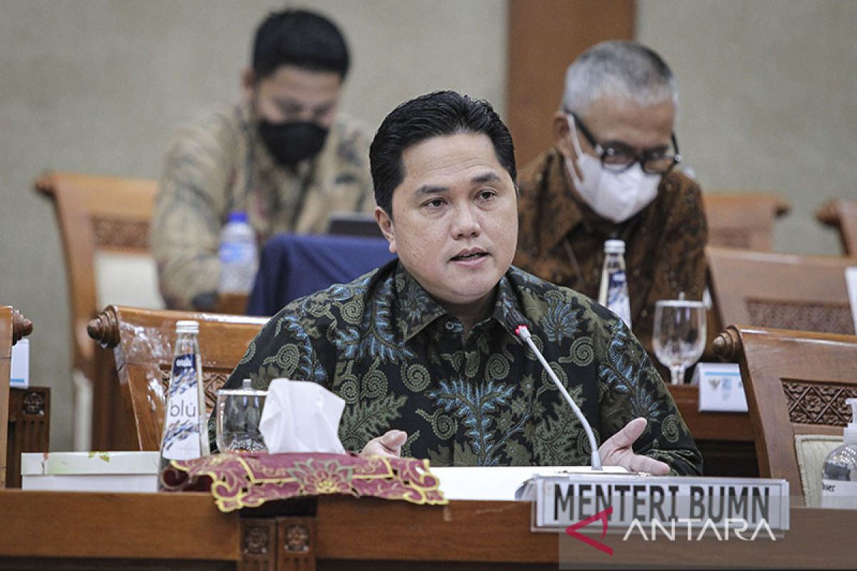 Menteri BUMN dorong Garuda Indonesia sediakan tiket murah