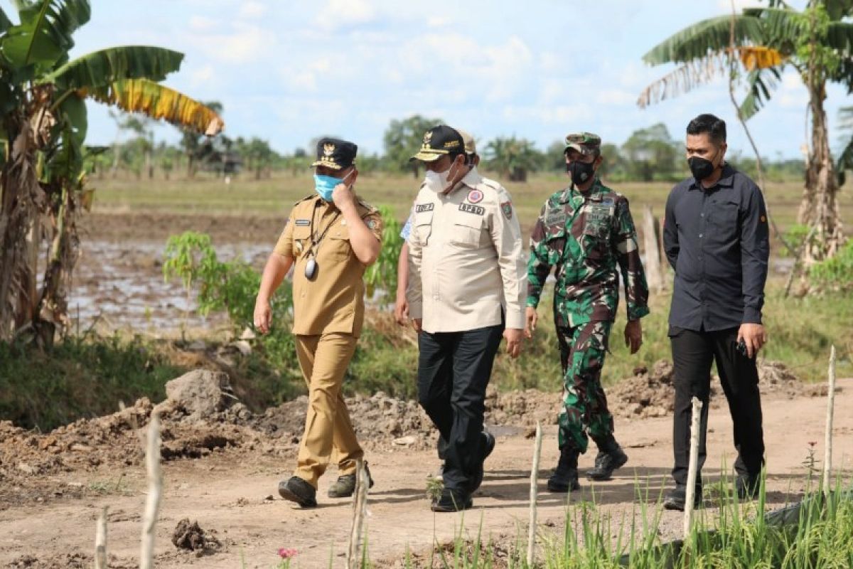 Gubernur Kalteng gagas penyediaan benih hibrida dukung food estate