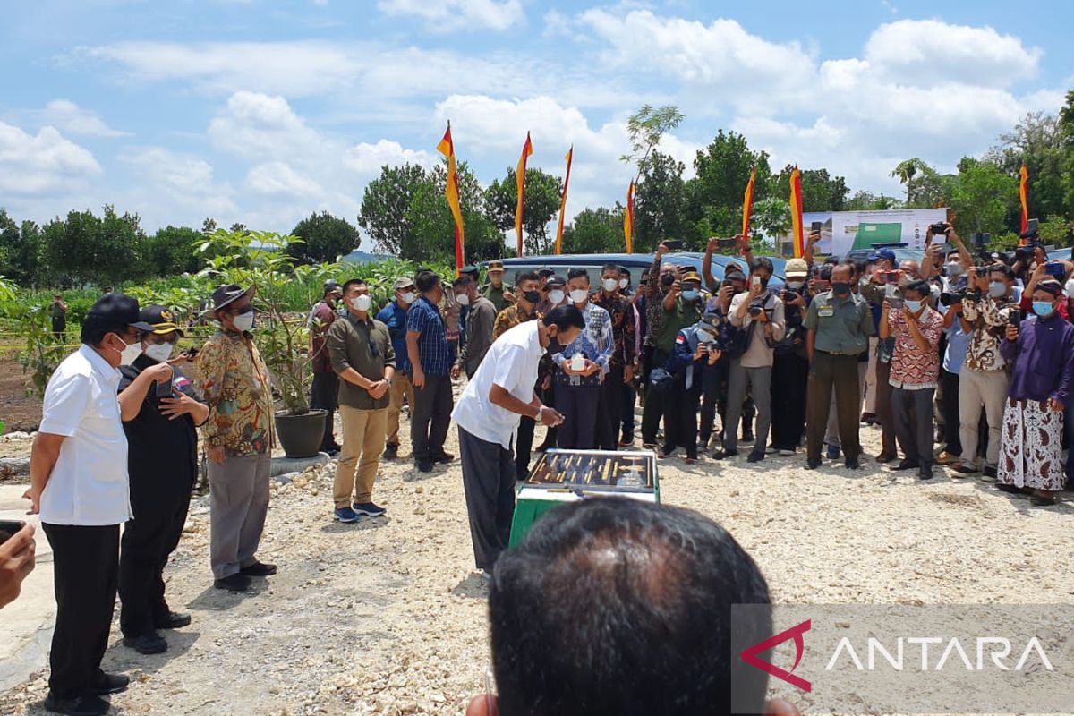 Siti Nurbaya tanam pohon nangka di Hutan Keistimewaan Gunung Kidul