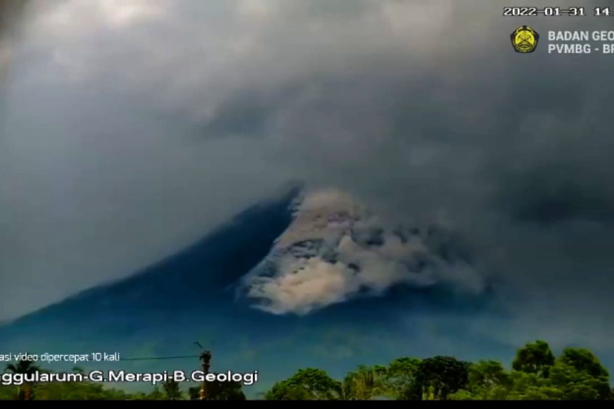 Merapi luncurkan awan panas guguran sejauh 2,5 km