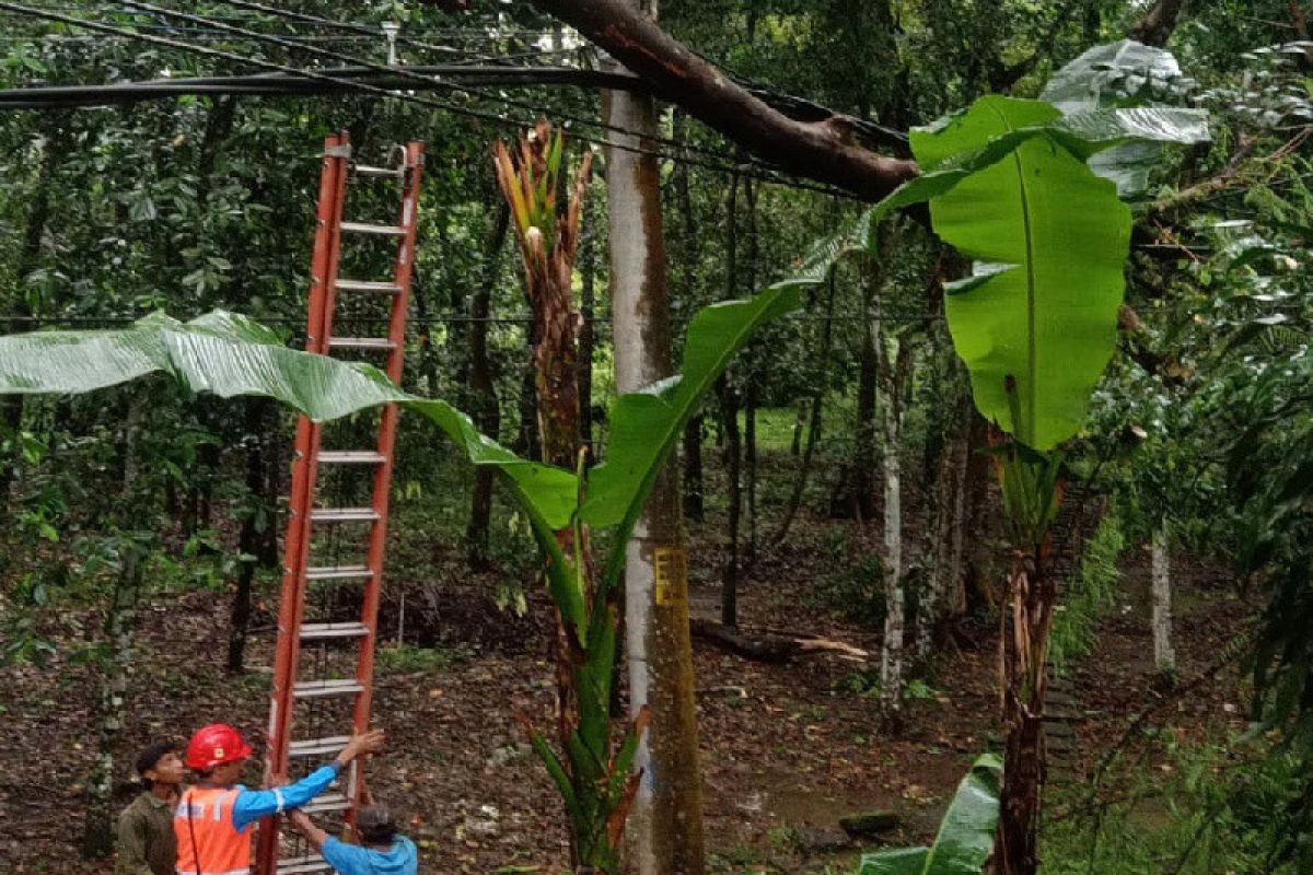 Respon cepat, PLN pulihkan gangguan listrik akibat cuaca di Banyumas