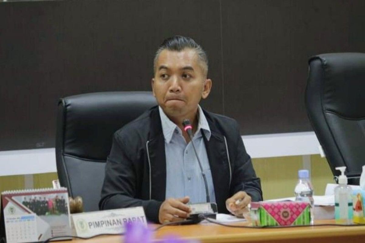 Ketua DPRD minta Pemkab bangun ikon seruyan