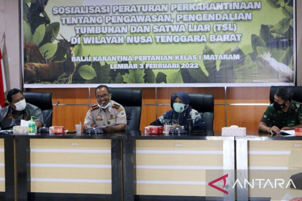 Kementan memperkuat pemahaman aparat di NTB terkait pengawasan TSL