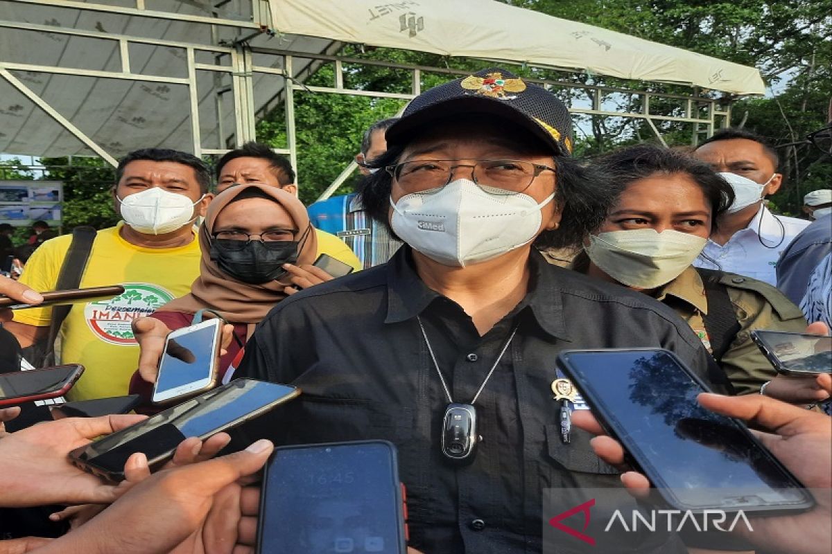 Menteri LHK sebut rehabilitasi mangrove inisiatif PWI bersama LHK