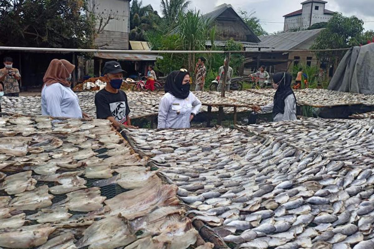 Tingkatkan pemasaran, Wabup minta kemasan ikan asin dibuat menarik