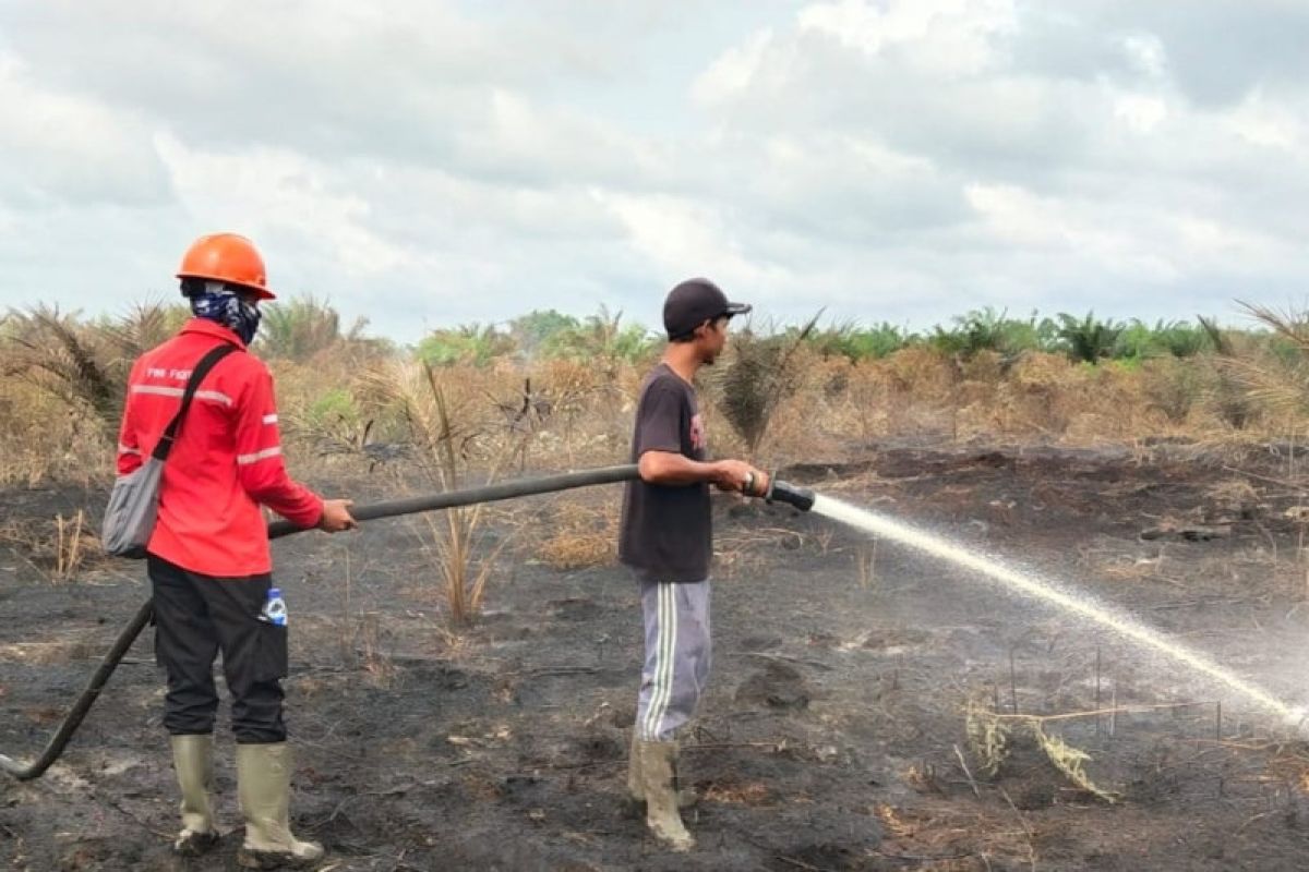 Sinar Mas bantu padamkan Karhutla di Siak Kecil