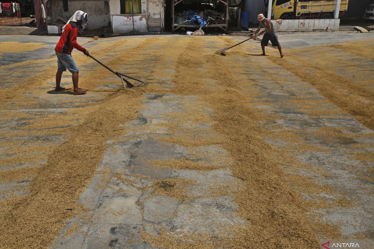 Mitigasi dan adaptasi perubahan iklim mendukung ketahanan pangan