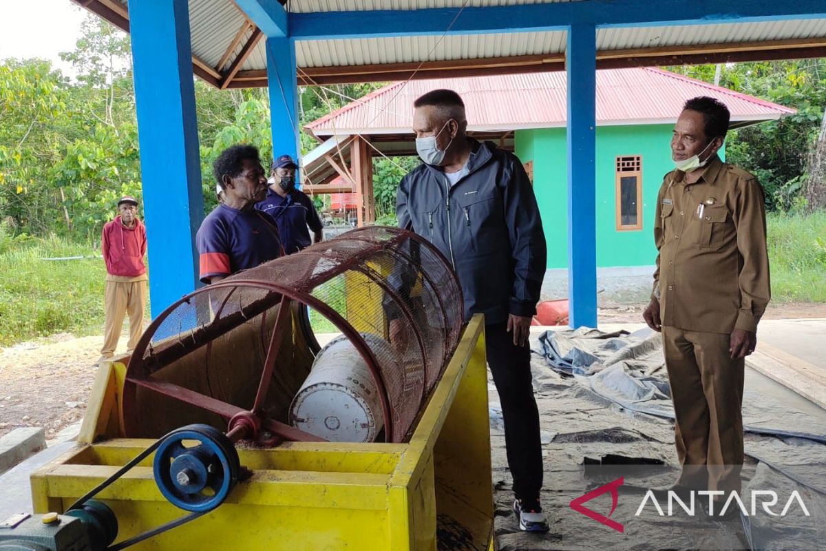 Deputi BNPP Kemendagri tinjau pengolahan sagu di Skouw Muara Tami