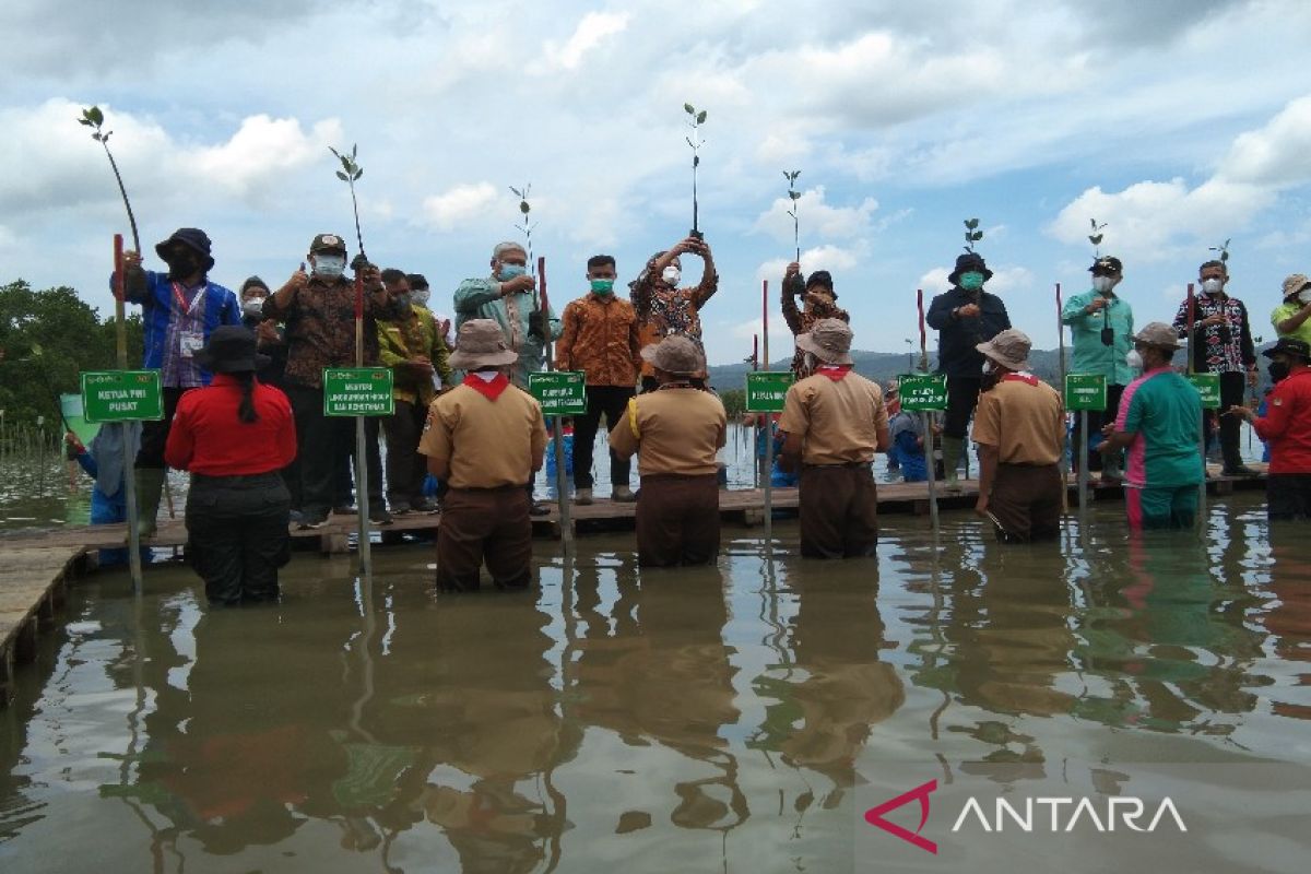 Sebanyak 20 ribu bibit mangrove ditanam saat acara puncak HPN 2022