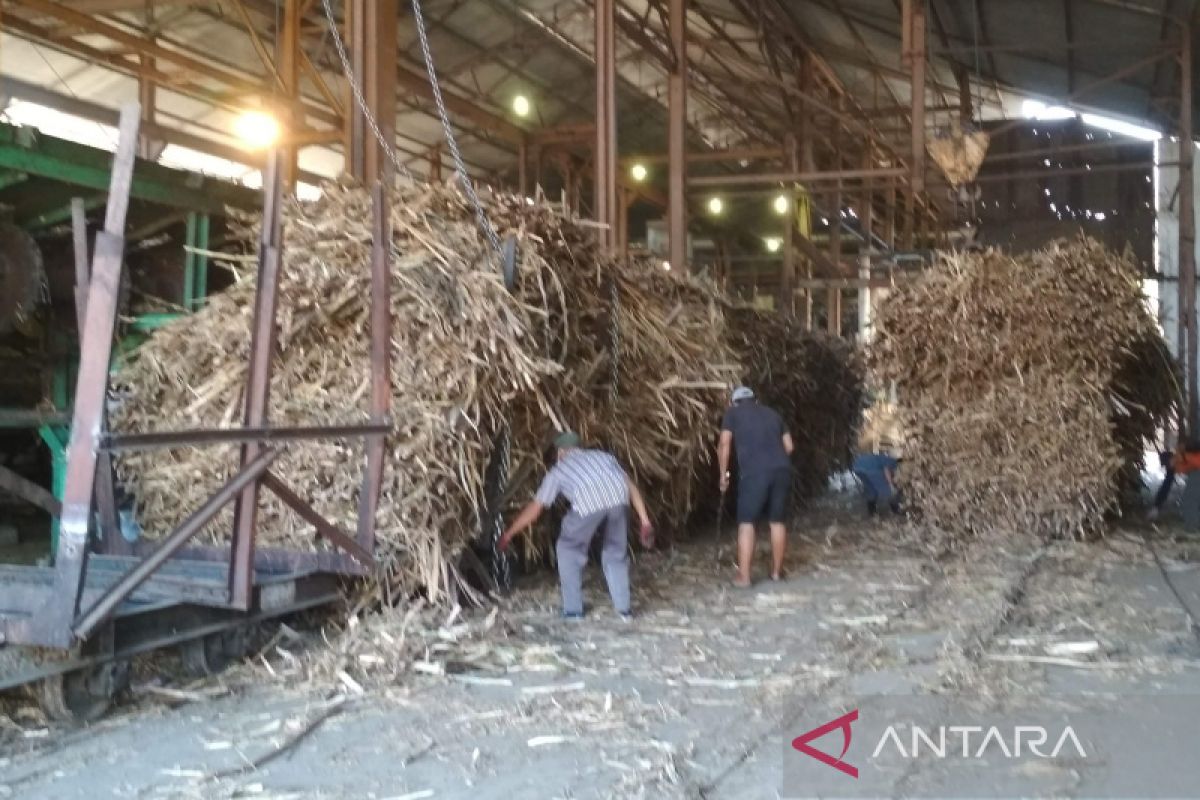 APTRI tolak pencabutan subsidi pupuk dibutuhkan petani tebu