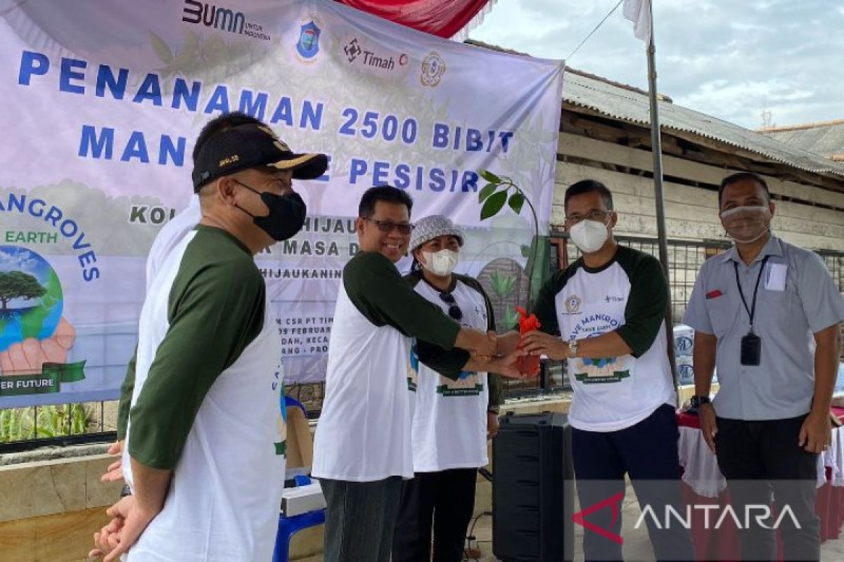 PT Timah tanam 2.500 bibit bakau di Sungai Pangkalpinang cegah banjir