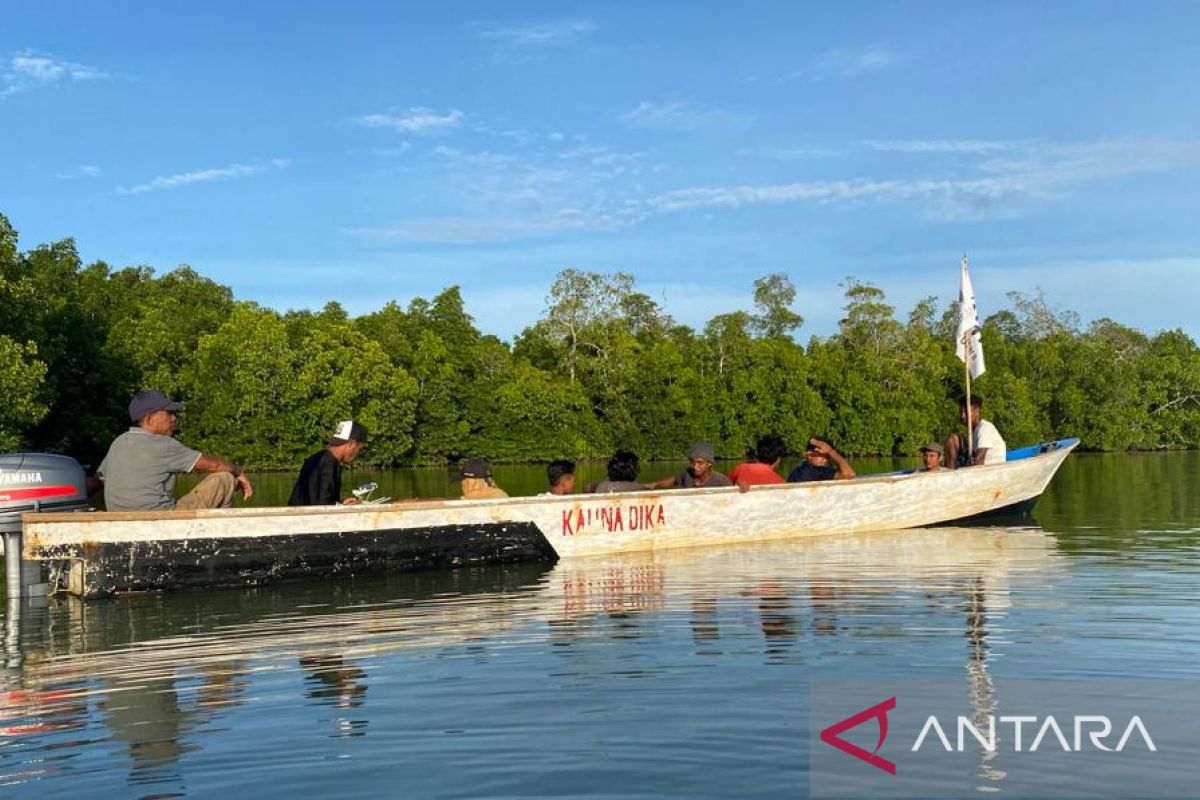 Derap Indonesia capai target rehabilitasi mangrove