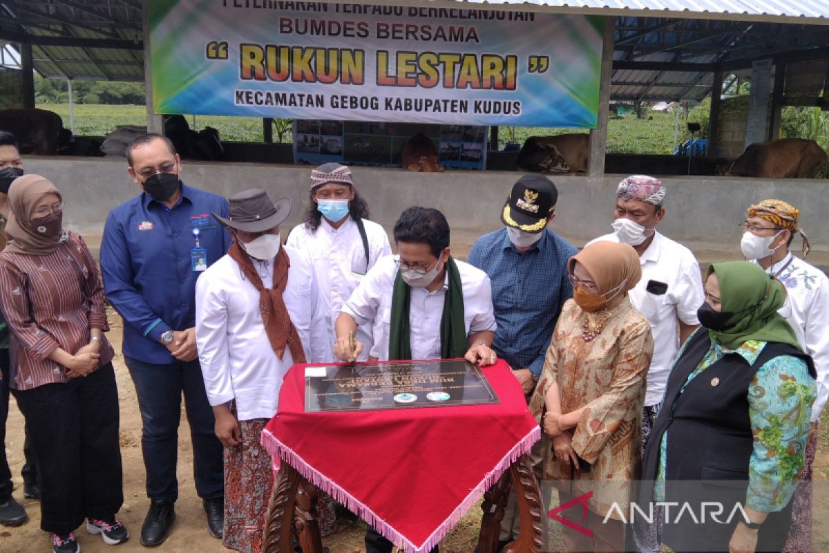 Kudus peroleh bantuan program desa peternakan terpadu dari Kemendes