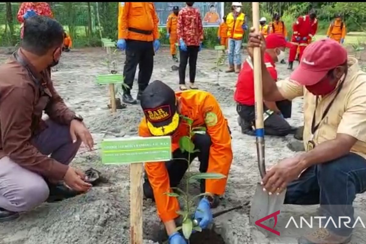 SAR-PT Freeport tanam pohon bintangur di area pengendapan "tailing"