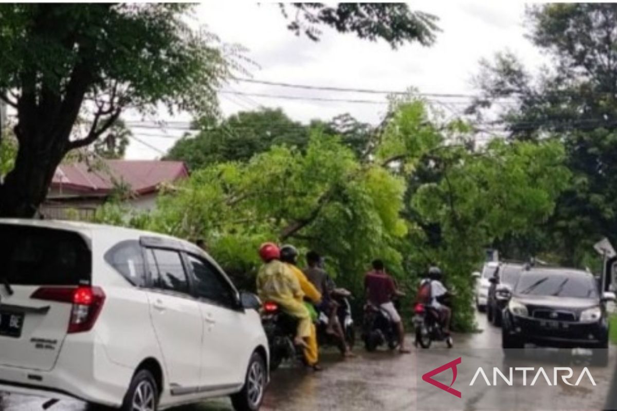 BMKG imbau waspadai hujan-angin di NTT akibat sirkulasi siklonik