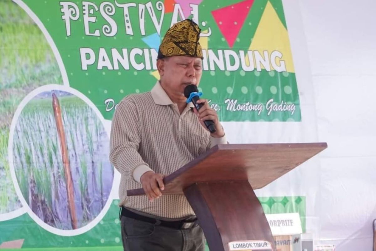 Festival pancing belut lestarikan budaya lokal Lombok Timur