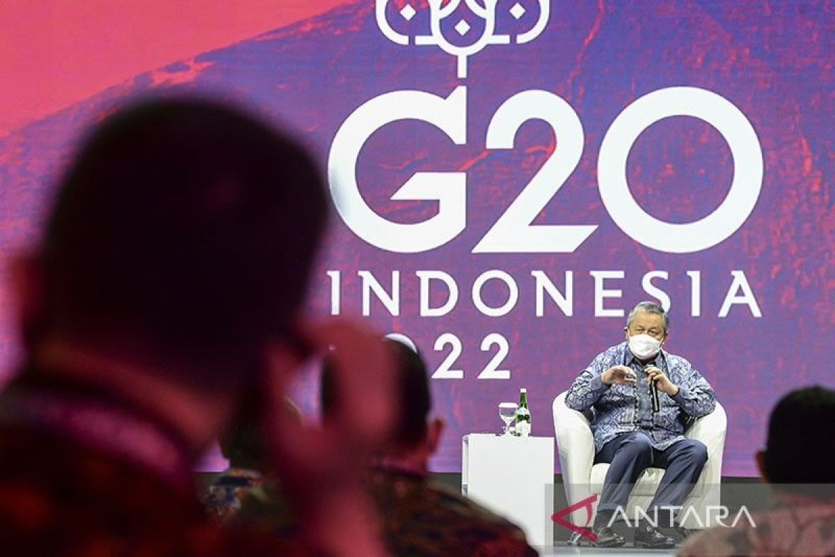 Pertemuan G20 Menteri Keuangan dan Gubernur Bank Sentral dukung penerapan energi hijau