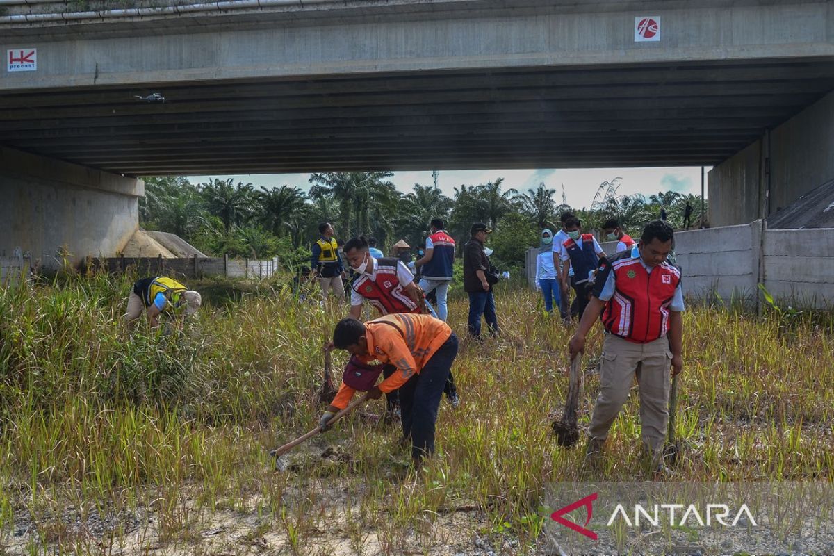 Ini upaya BBKSDA Riau agar gajah tak lagi lintasi tol