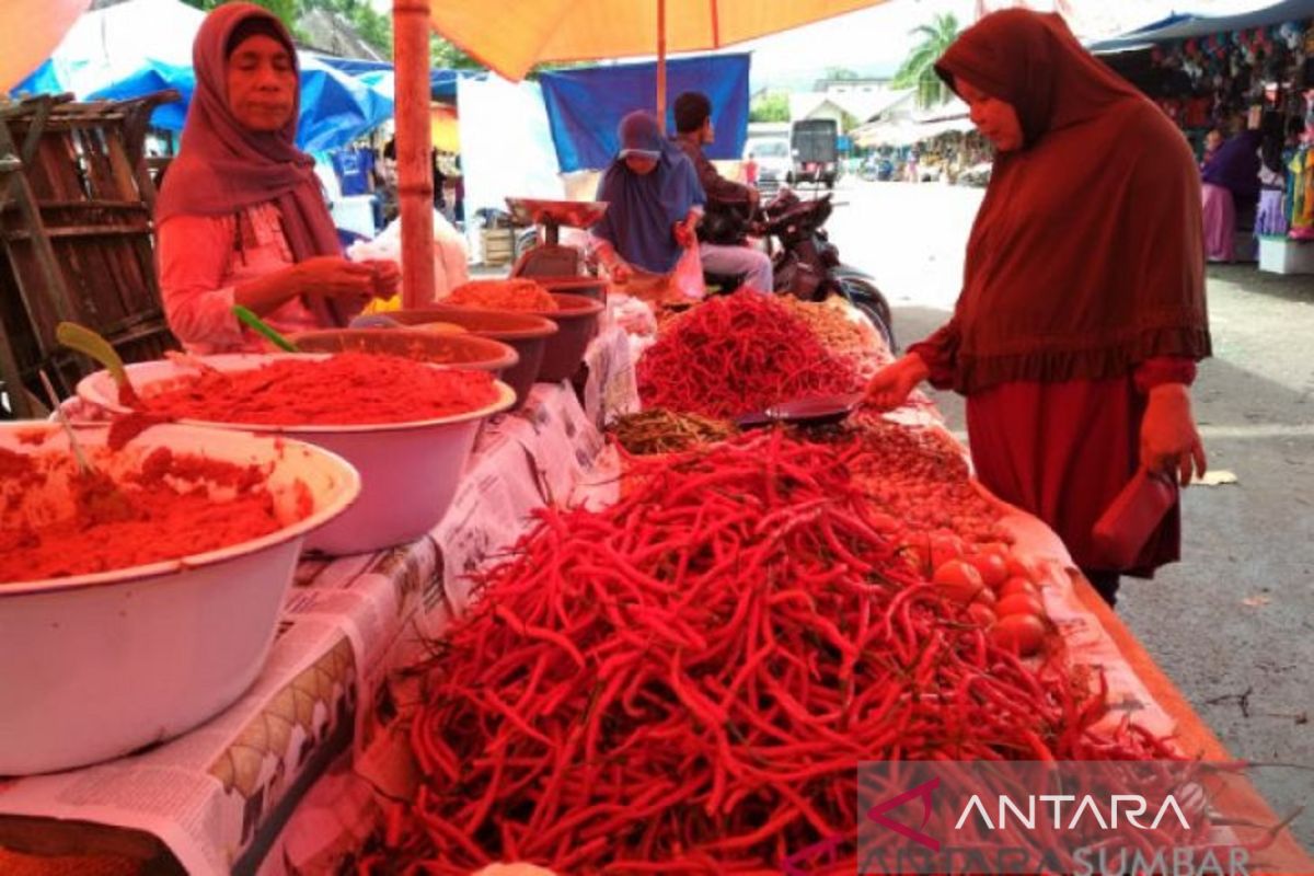 Harga cabai merah naik di Agam