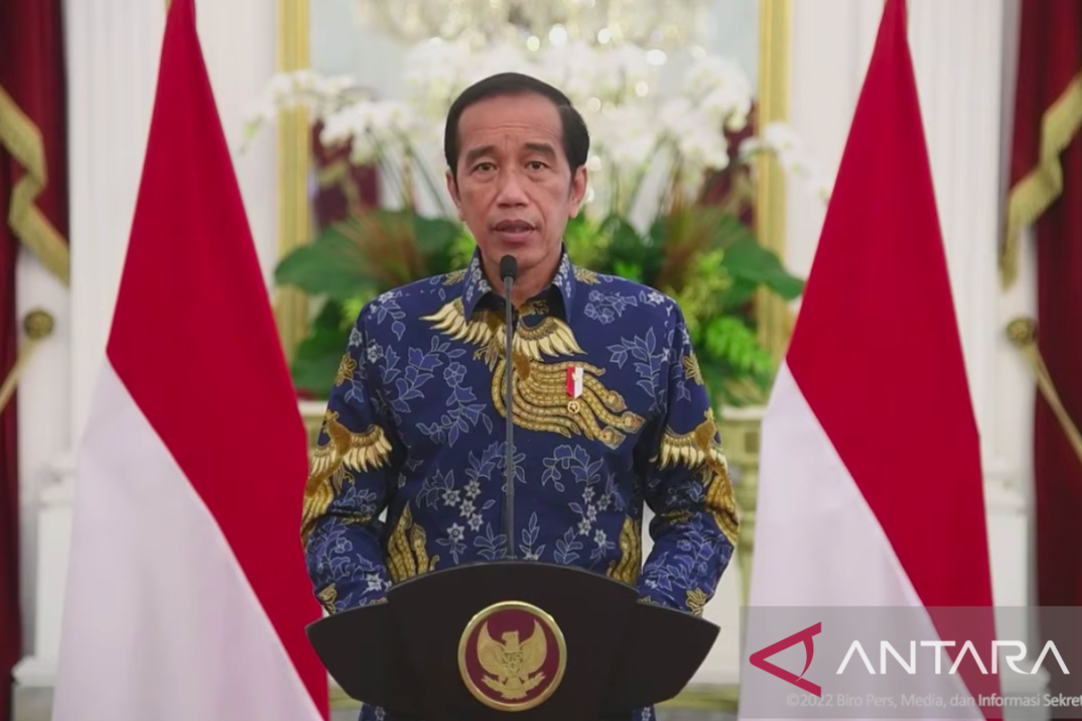 Presiden Jokowi: IKN Nusantara jadi representasi bangsa unggul