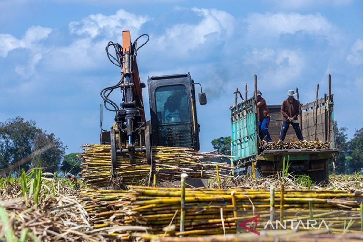 PTPN X bentuk klaster pabrik gula untuk kejar target giling tebu 4,2 juta ton