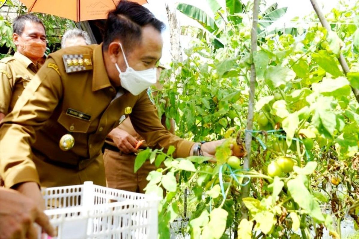 Pemkot Palangka Raya dorong warga manfaatkan lahan kosong jadi produktif