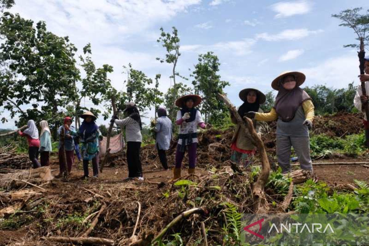 Mantan kades di Magelang hibahkan tanah untuk warga terdampak jalan tol