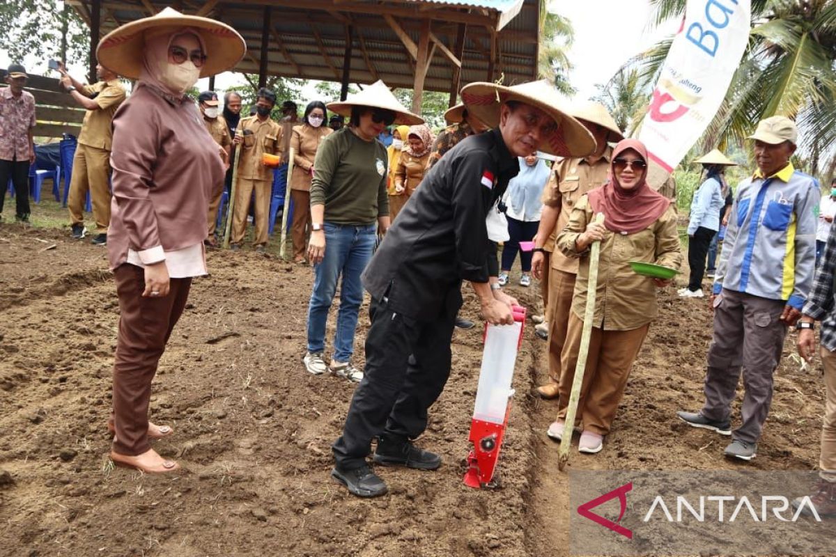 Kementan  dorong Pemkab Banggai optimalkan pertanian terpadu