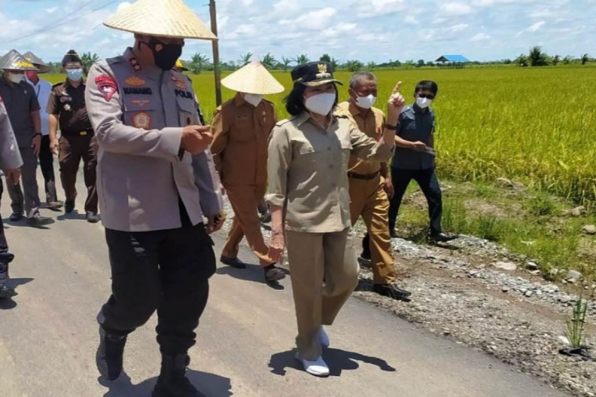 Kapolda Kalteng berharap petani milenial kembangkan food estate