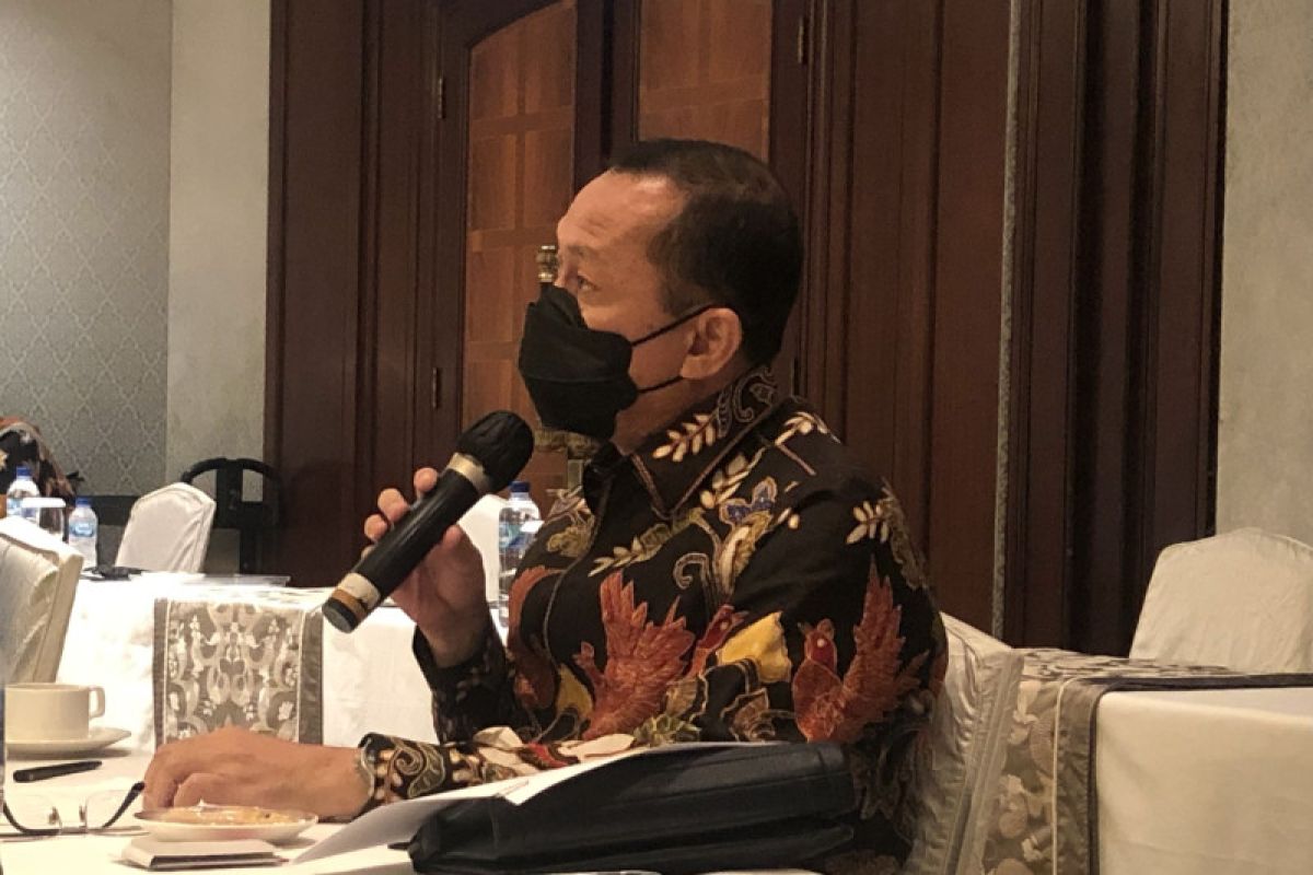 Komnas HAM akan ajak tokoh OPM untuk dialog damai