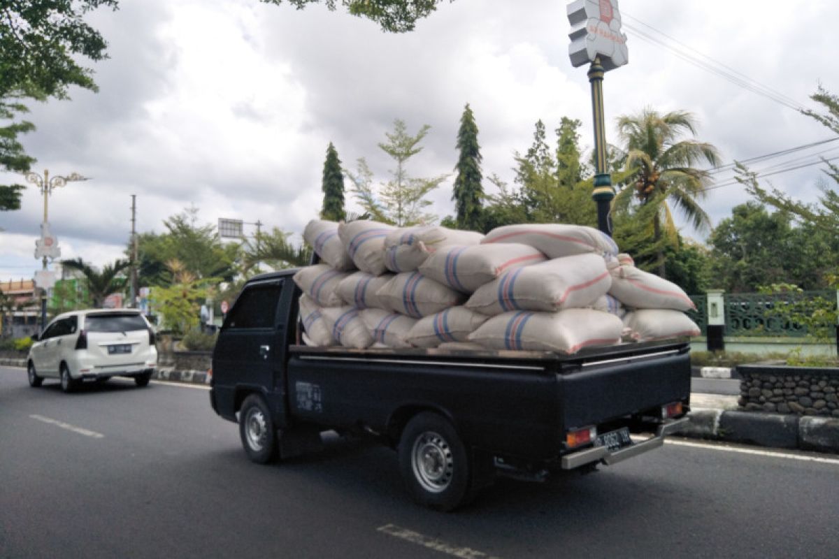 Harga gabah petani di Lombok Tengah turun